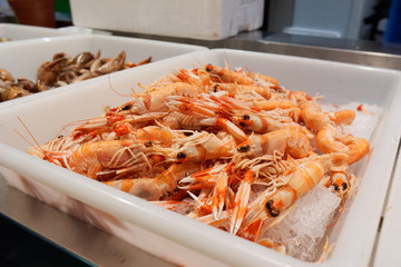 Pile of scampi on fish market