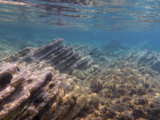 UNDERWATER life off the Kastos island coast, Ionian Sea, Greece in summer.