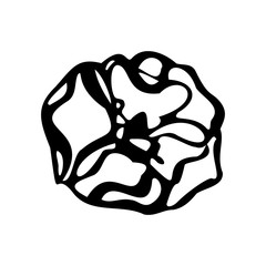 Apple tree flower. Black and white vector illustration. Isolated on a white background.