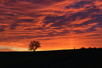 Sunrise over the field and mountains