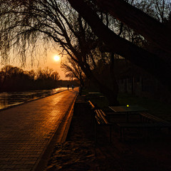 Plakat sunset in park