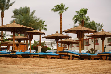 Empty tropical sandy beach with wooden umbrellas and blue sun beds