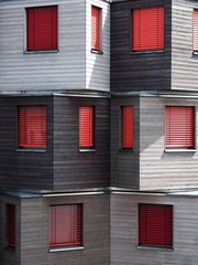 Red Windows