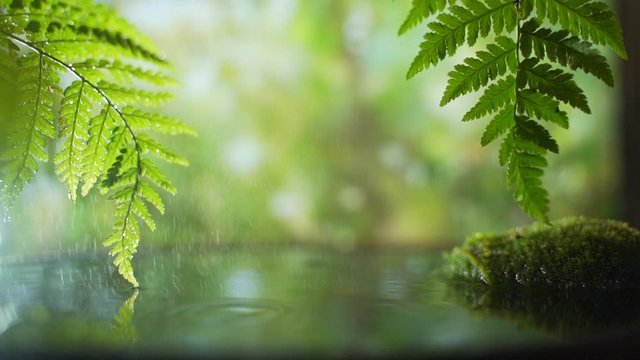 light rain on a background of palm trees and rain forest. Meditation and yoga are in harmony with nature. Tropical Sandy Beach, Summer Holiday Background. Travel Vacation, Empty Copy Space for Text 