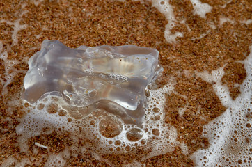 The tentacle jellyfish