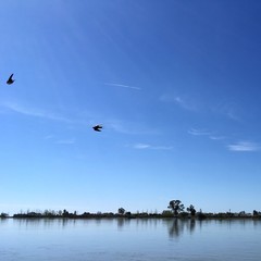 View of 
