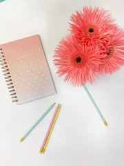 Work in progress- Beautiful girly notebook with pencils and gerbera flowers - Flat lay