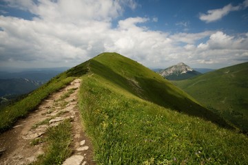 path to the mountain