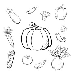 Hand drawn sketch set vegetables. Organic vegetarian food