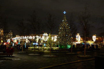 Fototapeta na wymiar New Year and Christmas decorations in the Zaryadye park, Moscow, Russian Federation, January 10, 2020