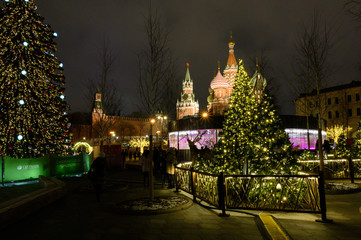 Fototapeta na wymiar Christmas trees in the Zaryadye park, Moscow, Russian Federation, January 10, 2020