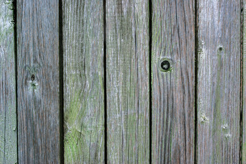 Old fence made of wooden planks, in the style of rustic, grunge, old fashion, worn gray-green color with nails