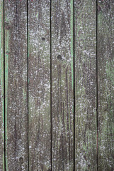 Fototapeta premium Old fence made of wooden planks, in the style of rustic, grunge, old fashion, worn gray-green color with nails
