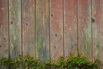 Shabby old fence of red-brown color, with moss and nails, background of wooden boards, in the style of rustic, grunge, old fashion