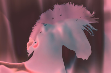 conceptual horse head silhouette in pink shades