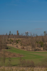 View for landscape with cut down forests after bark beetle and lookout tower