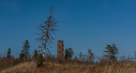 View for landscape with cut down forests after bark beetle and lookout tower