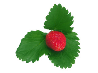 Red strawberry ripe isolated on white background with green leaves with clipping path for healthy or diet food concept.