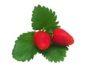 Red strawberry ripe isolated on white background with green leaves with clipping path for healthy or diet food concept.