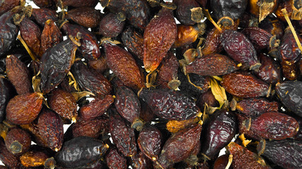 Dried rosehip fruit berry close-up