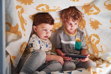 Two little boys resting and have fun indoors under blanket together with smartphone