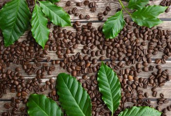 green plant in a pot