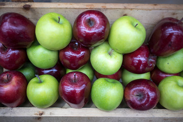 Green and red apples laid out on counter for sale.