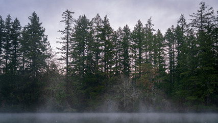 Puget Sound Peaceful Waters And Fog At Sunrise