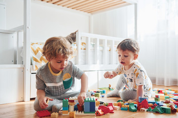 Two little boys have fun indoors in the bedroom with plastic construction set. Cat sits behind them