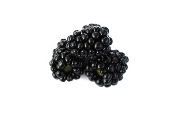 isolated blackberry on white background
