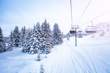 Winter fir and pine forest covered with snow after strong snowfall near ski lift on the mountain resort