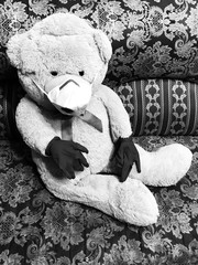 teddy bear on a tree