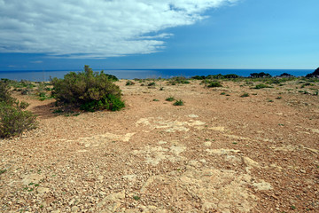 landscape on the La Mola plateau (Formentera) - Landschaft auf der Hochfläche La Mola (Formentera)