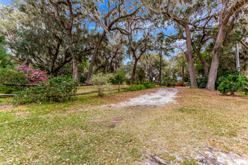 Gorgeous path through the woods with floral landscape