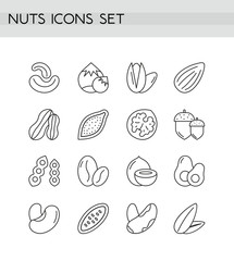 Fototapeta na wymiar Nuts icons line outline vector illustration set. Shapes and cross-sections