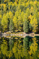 Obraz premium herbst