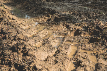 Wheel track on wet dirt close up