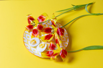 Plate with tulips and halfs of boiled egg on yellow background