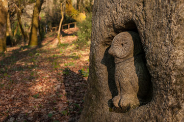 Carved owl in stone in forest