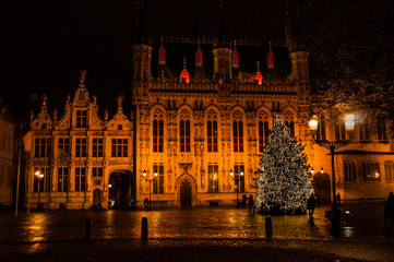 Iluminated palace with christmas tree