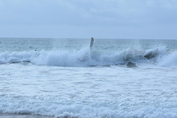 Fototapeta premium f noronha
