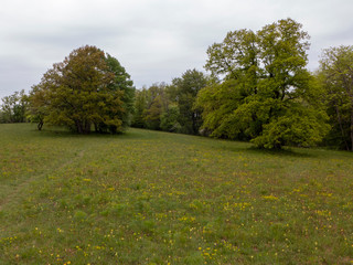 Wanderung auf dem Fernwanderweg Albsteig HW 1 auf der Strecke von Jungingen nach Onstmettingen auf der Schwäbischen Alb.