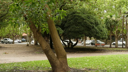  the wonderful park of my city