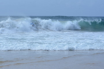f noronha
