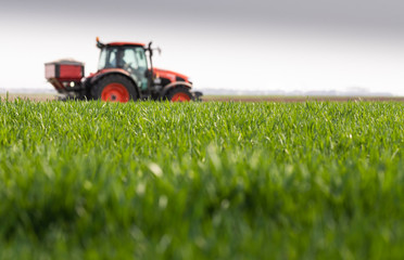 Tractor spreading artificial fertilizers in field