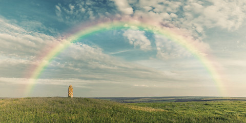 Rainbow over summer wild stepp