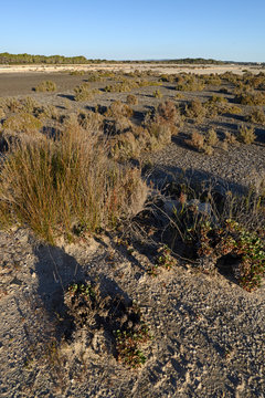 stillgelegte Saline auf Formentera - disused salt works on Formentera