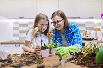 Mother and daughter child planting orchid plants in pots together
