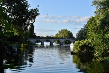 Fototapeta premium A river surrounded by trees and a brick bridge over it