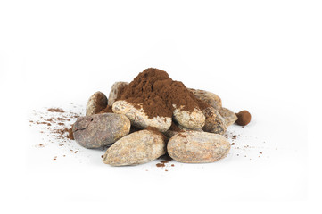 Cocoa beans with cacao powder isolated on white background, healthy natural oil